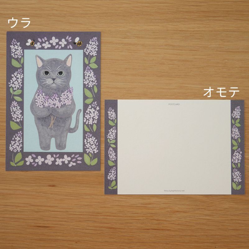 4legs Postcard - Cat #11 (Russian Blue)