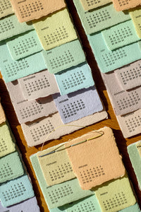 Slumber Bugs - Monthly Calendar 2024