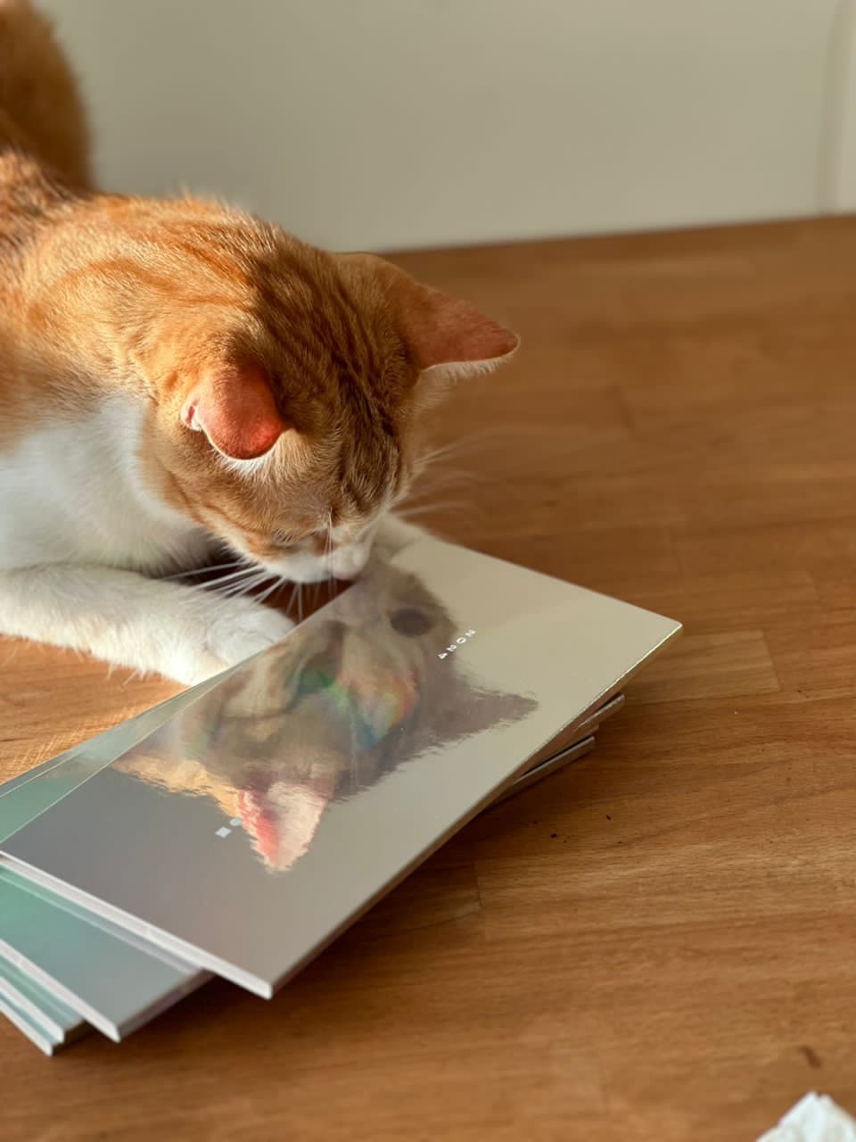 Slumber Bugs - Monthly Calendar 2024