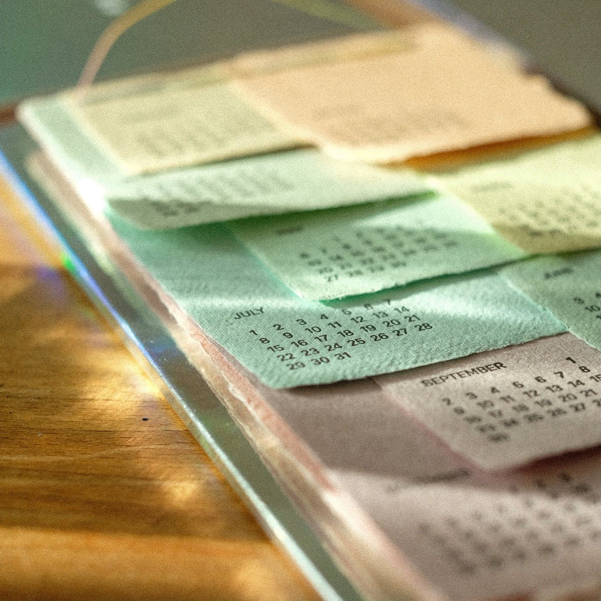 Slumber Bugs - Monthly Calendar 2024