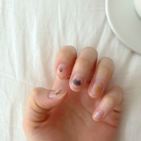 Suatelier Sticker - 1185 Deco Cats