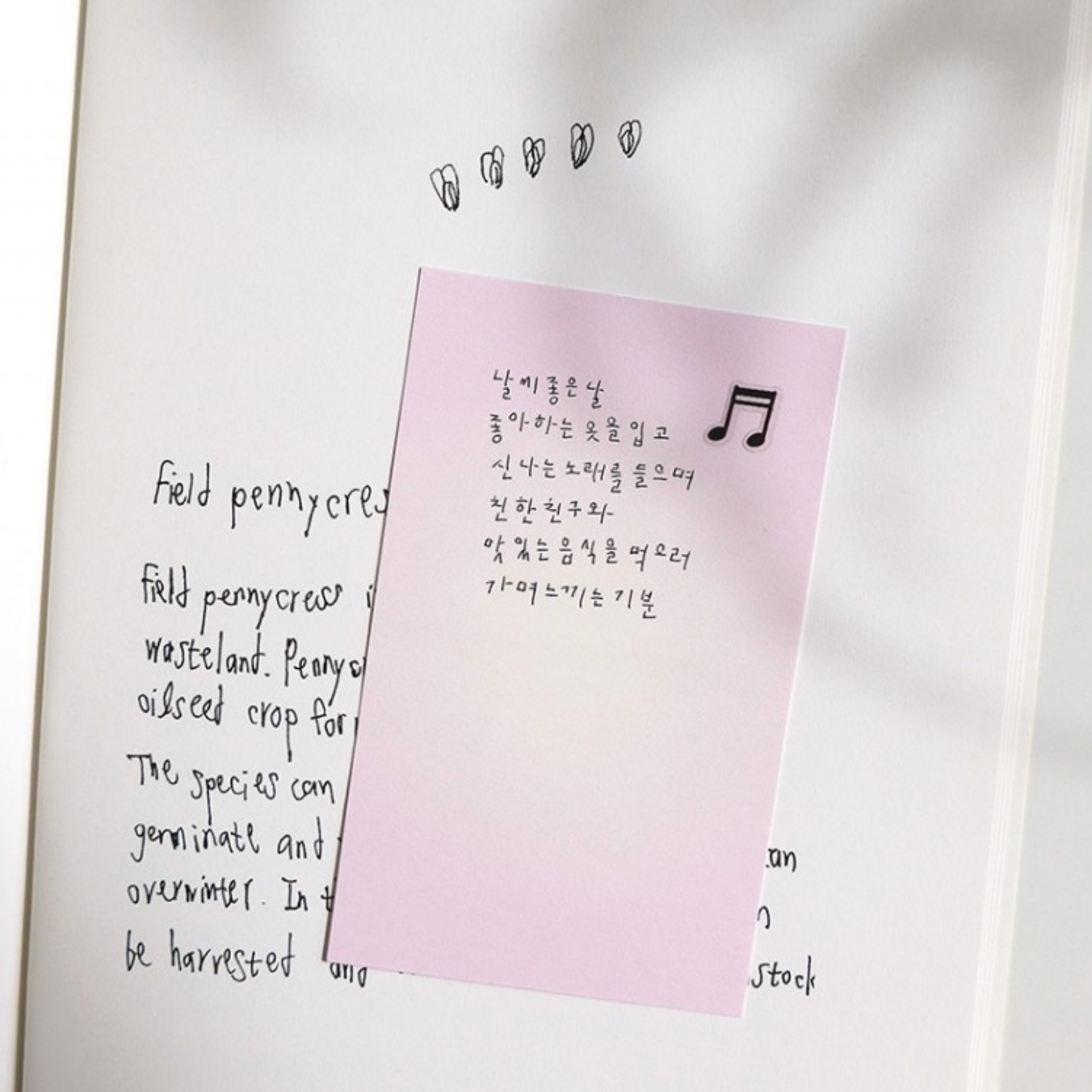 Suatelier Sticky Memo - Pastel ii (3 options)