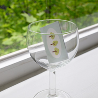 Suatelier Sticker - 1168 Campus