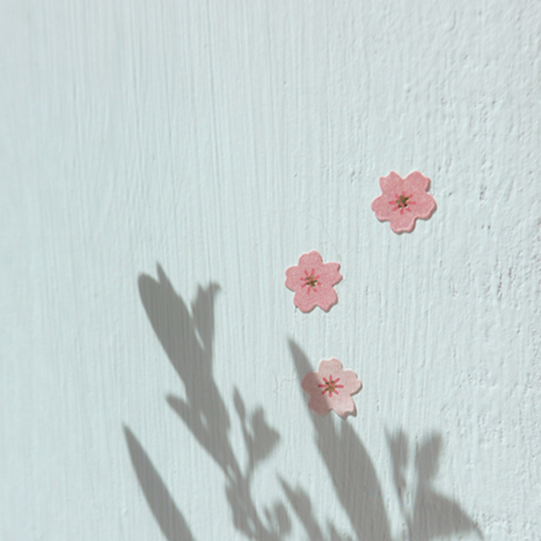 Suatelier 106 Mini Series Flower.01 Cherry Blossoms Sticker