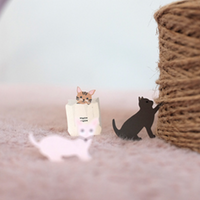 Suatelier 1093 Meow Sticker