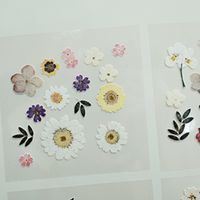 Suatelier 1524 Dear Flower Sticker