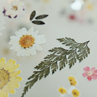 Suatelier 1524 Dear Flower Sticker