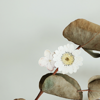 Suatelier 1524 Dear Flower Sticker