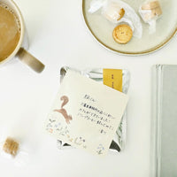 Michikusa Memo Pad - Nuts