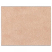 Michikusa Mini Letter Set - Petal