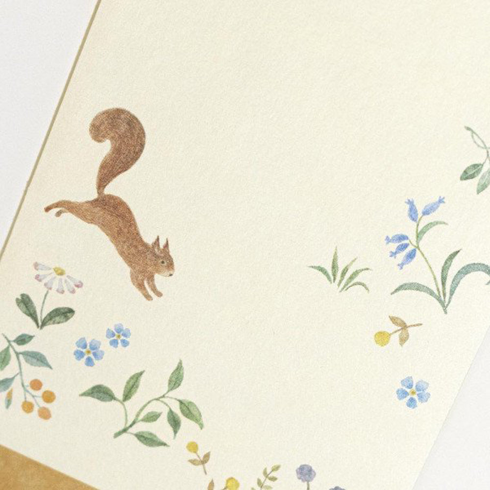 Michikusa Pochibukuro Petit Envelope Set - Nuts