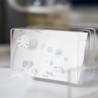 Mossland Back to Summer Stickers - Letters / Illustration