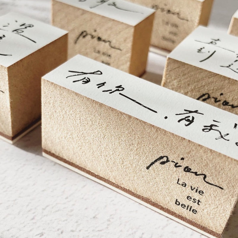 Pion Chinese Handwriting Rubber Stamp 寫寫字
