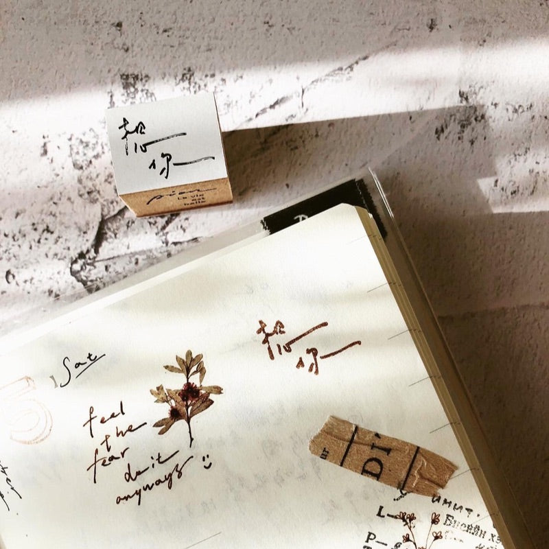 Pion Chinese Handwriting Rubber Stamp 寫寫字