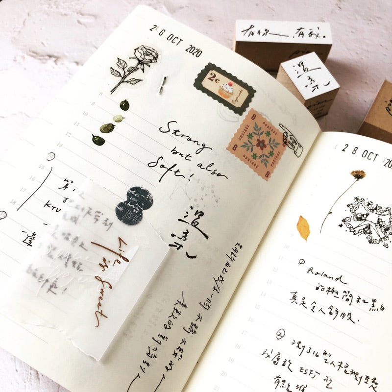 Pion Chinese Handwriting Rubber Stamp 寫寫字