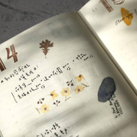 Pion 一段一段 One by One Paper Tape