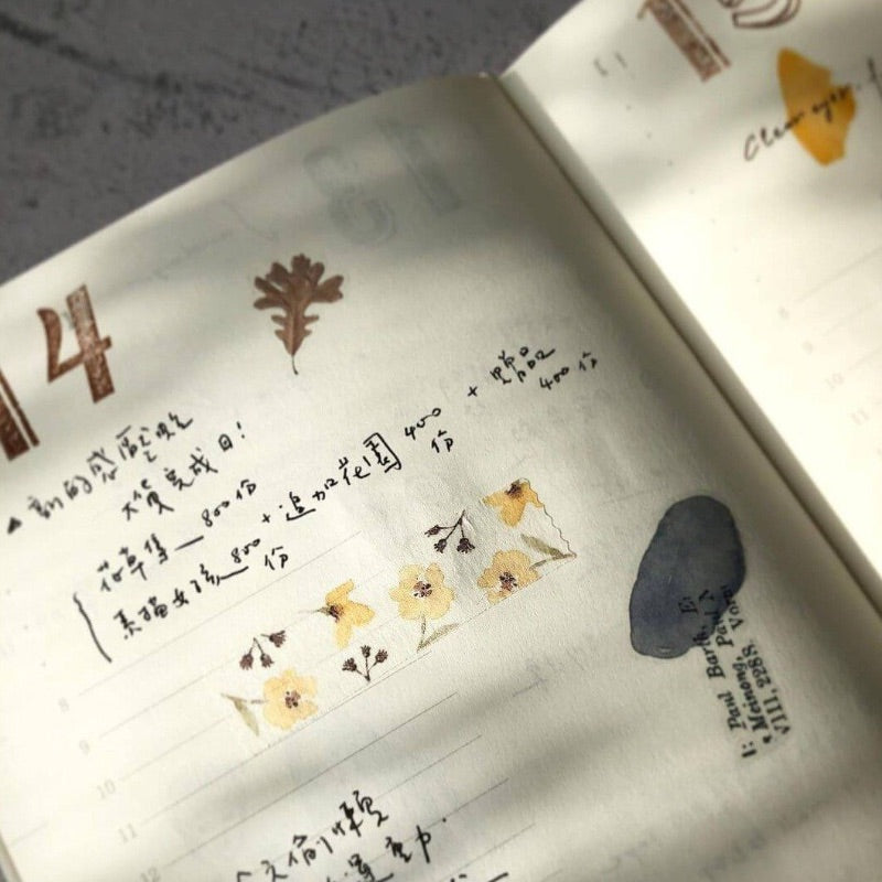 Pion 一段一段 One by One Paper Tape