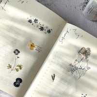 Pion 一段一段 One by One Paper Tape