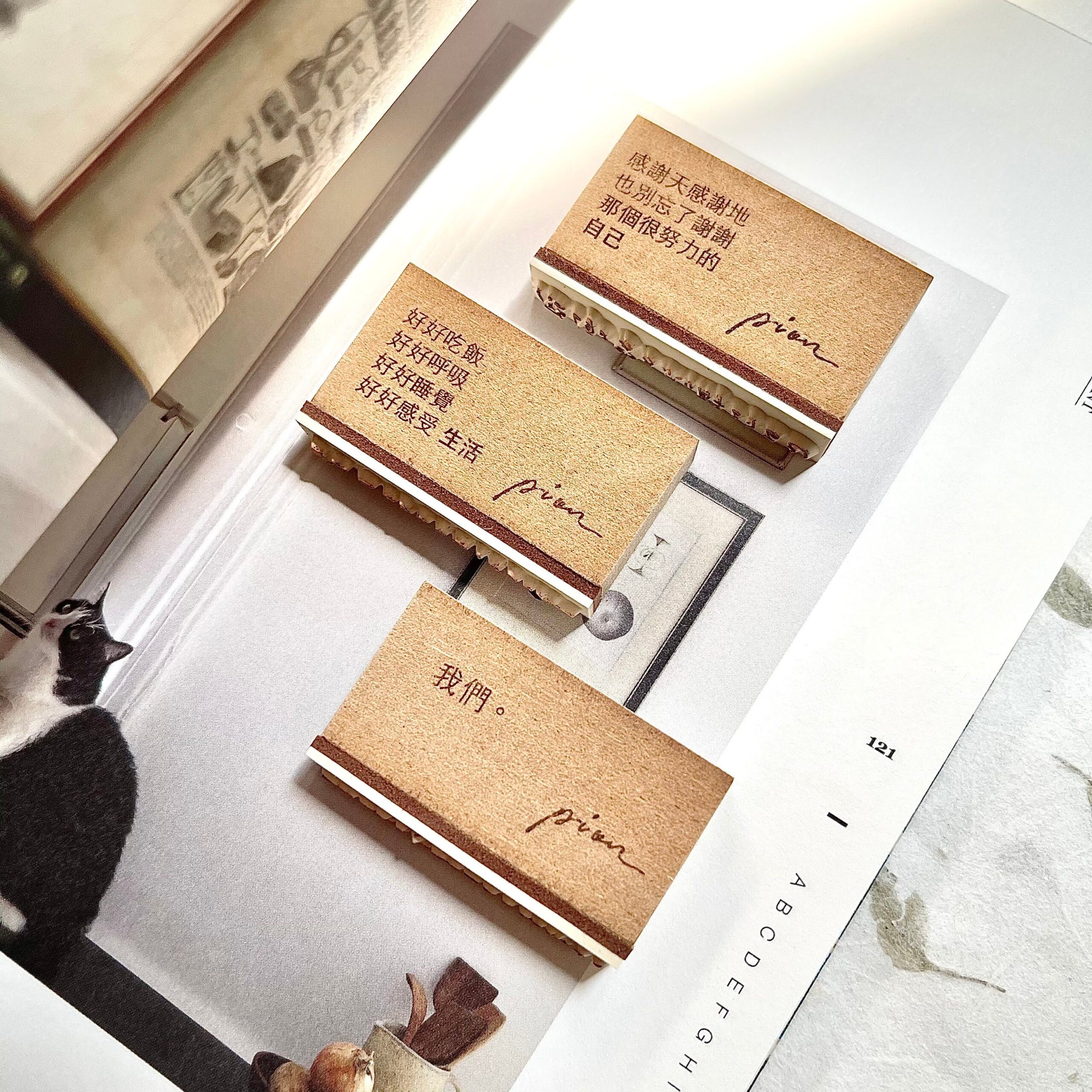 Pion Rubber Stamp 今天也好好生活了呢 (Live well today) 感謝努力不懈的自己 (Thanks myself who made the effort) 致始終如一的我們 (To us that being us)