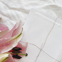 Slumber Bugs Handmade Paper Pack