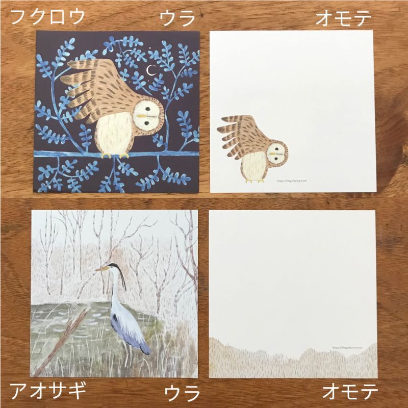 4legs Memo Pad - Wild Birds