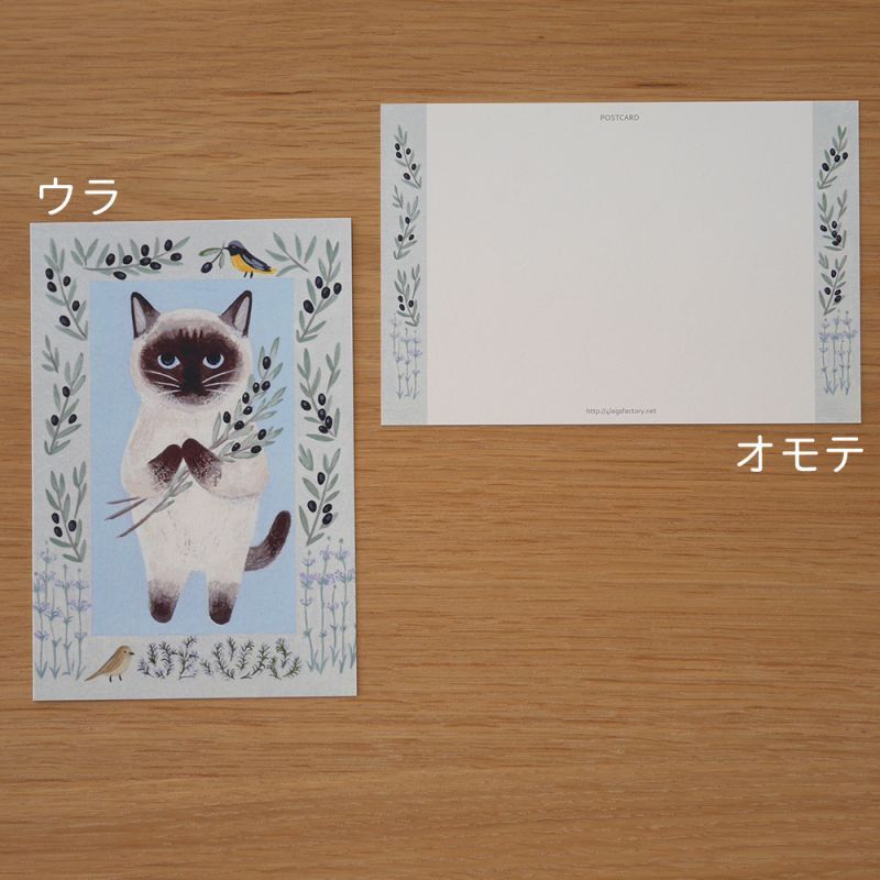 4legs Postcard - Cat #12 (Siamese)