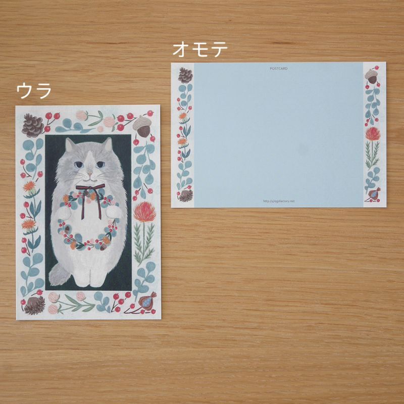 4legs Postcard - Cat #13 (Long-haired)