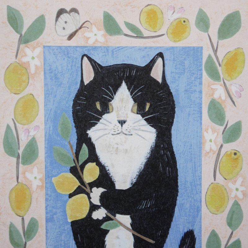 4legs Postcard - Cat #15 (Tuxedo Cat)