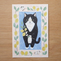 4legs Postcard - Cat #15 (Tuxedo Cat)