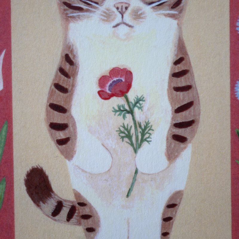 4legs Postcard - Cat #8