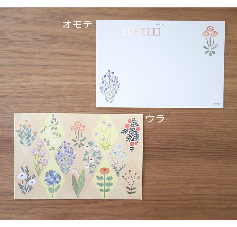 4legs Postcard - Flower Collection