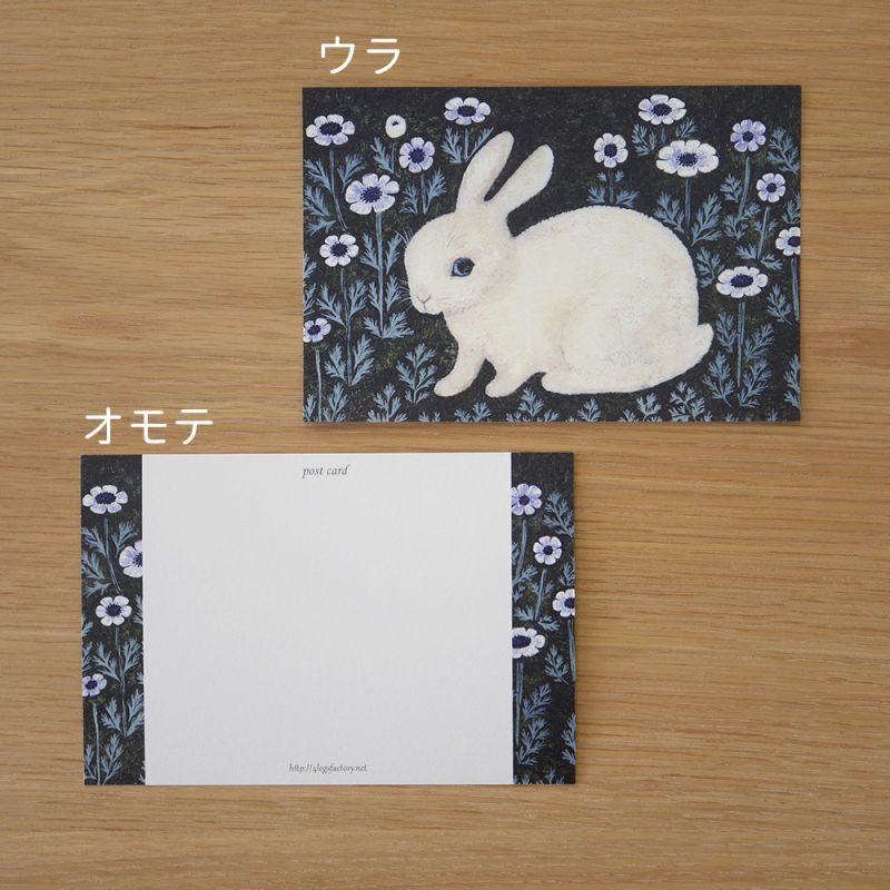 4legs Postcard - Rabbit Anemones