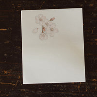 Classiky x Sekihando Washi Paper - Sakura