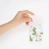 APS-005 Appree Pressed Flower Sticker - Forget me not
