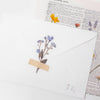 APS-005 Appree Pressed Flower Sticker - Forget me not