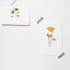 APS-006 Appree Pressed Flower Sticker - Four Leaf Clover