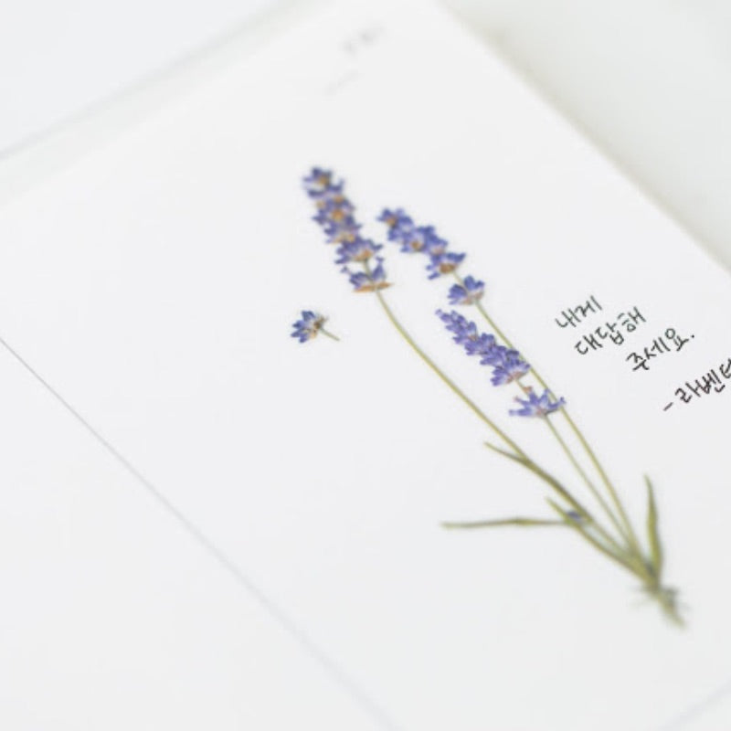 APS-008 Appree Pressed Flower Sticker - Lavender