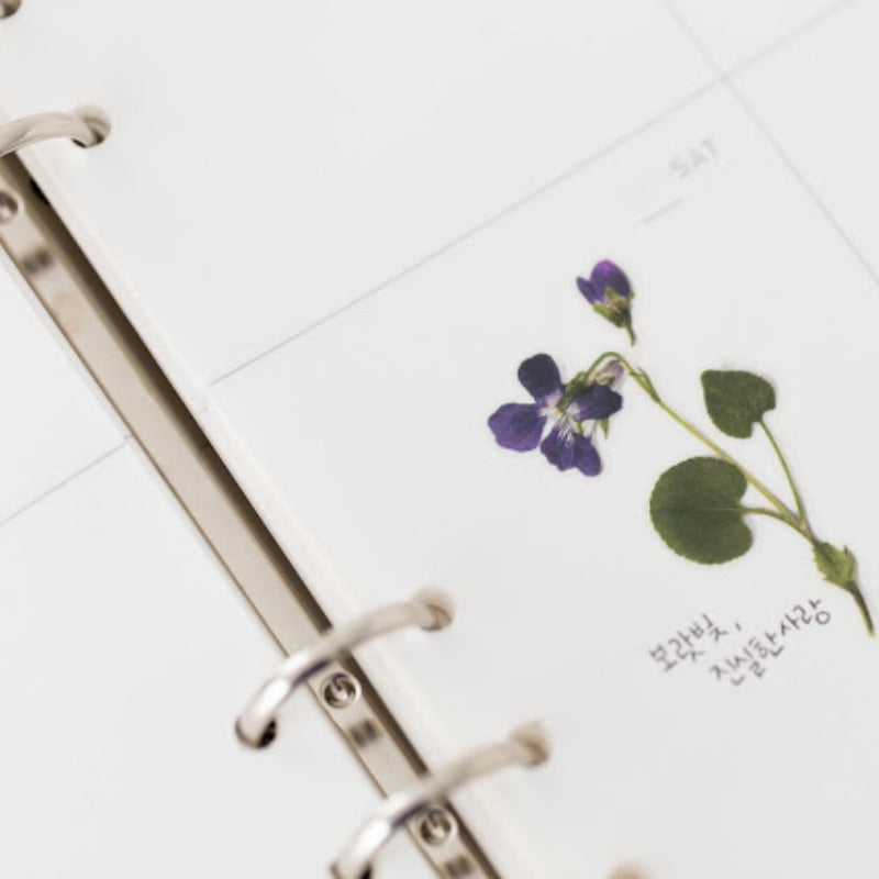 APS-011 Appree Pressed Flower Sticker - Manchurian Violet