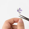 APS-011 Appree Pressed Flower Sticker - Manchurian Violet_7