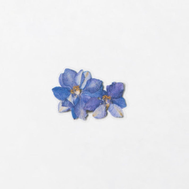 APS-012 Appree Pressed Flower Sticker- Larkspur