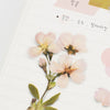 APS-022 Appree Pressed Flower Sticker - Cherry Blossom