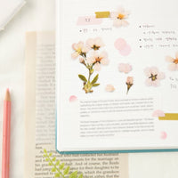 APS-022 Appree Pressed Flower Sticker - Cherry Blossom