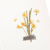 APS-029 Appree Pressed Flower Sticker - Narcissus