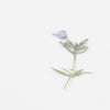 APS-030 Appree Pressed Flower Sticker - Moss Phlox