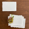 Slumber Bugs Handmade Paper Pack